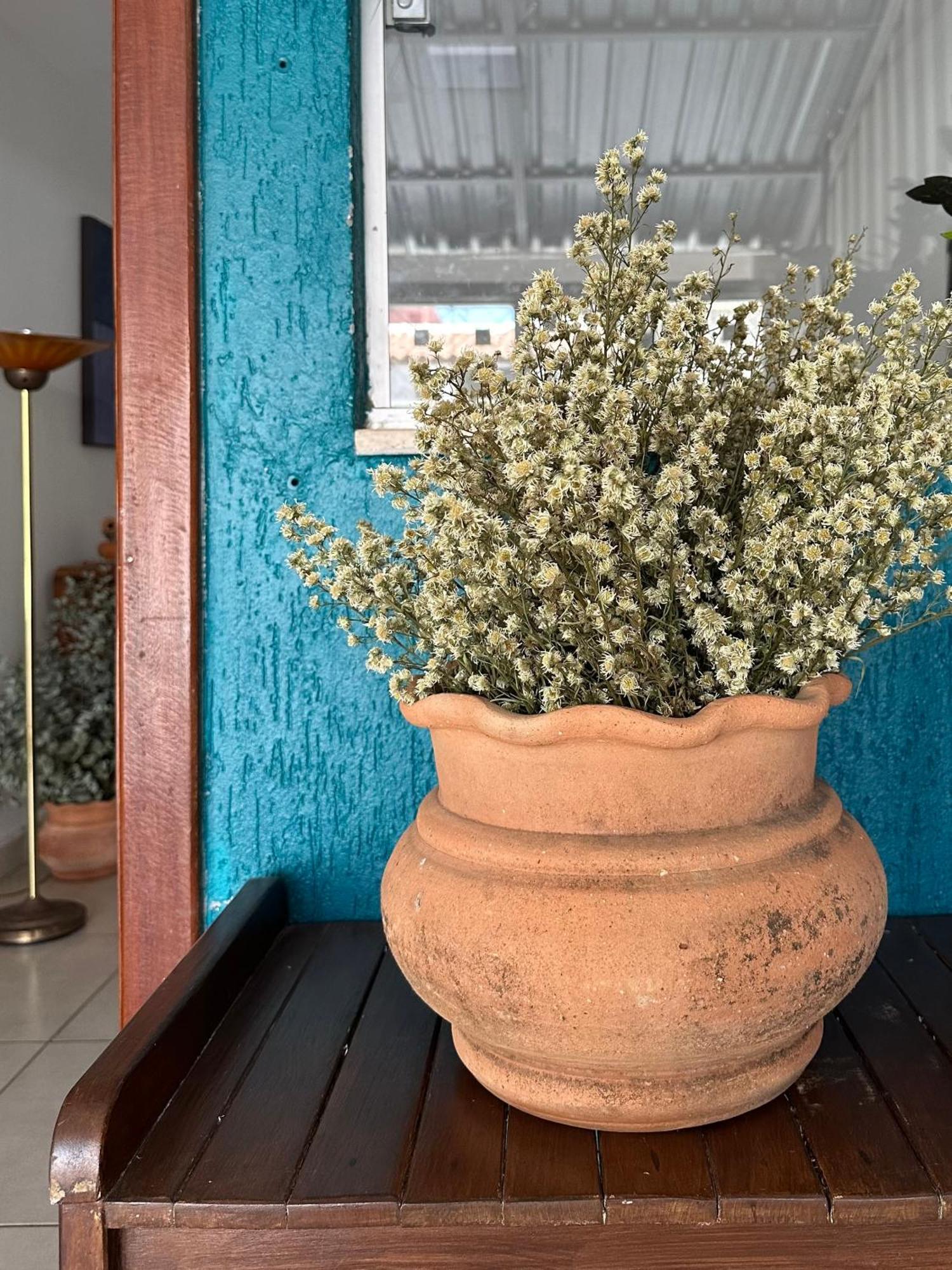 Bed and Breakfast Casa Lumen Нуклео-Бандейранти Экстерьер фото